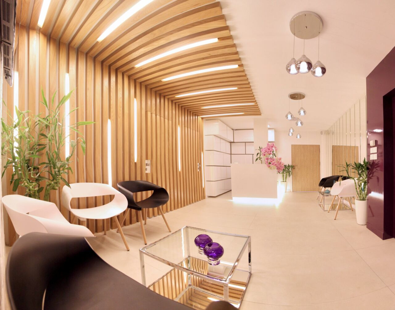 مینا احمدی و نرگس فرهادی